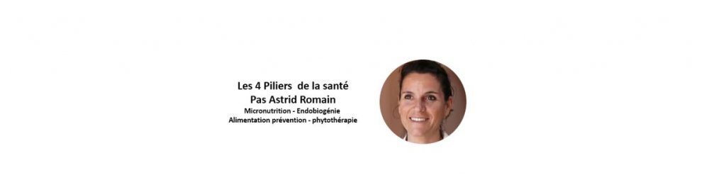 Les Quatre Piliers de la Santé : Une Approche globale pour un Bien-être Optimal