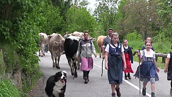 Acteurs Locaux Vosges - TRANSHUMANCE 2023 FERME AUBERGE UFF RAIN