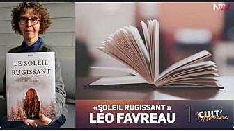 TV Locale Nantes - Soleil rugissant de Léo Favreau