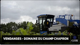 TV Locale Nantes - Le temps des vendanges dans la région nantaise