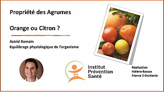 Citron vs Orange : Un Duel Savoureux par Astrid Romain - Micronutritionniste - Endobiogéniste - Acteurs Locaux 82