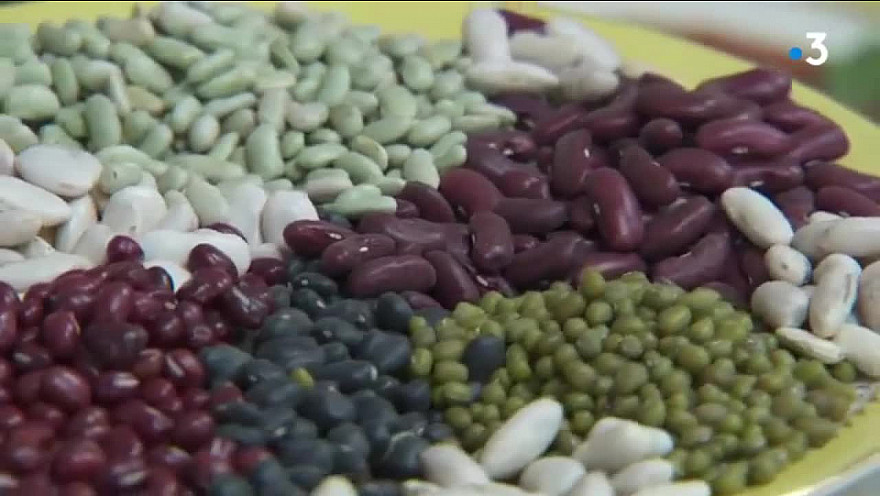 Les haricots en grain -  par Astrid Romain - Micronutritionniste - Endobiogéniste - Acteurs Locaux 82